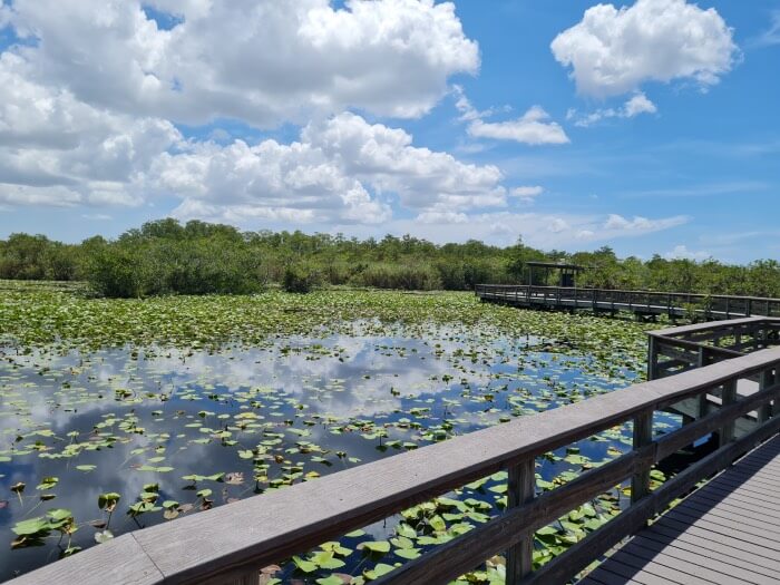 Anhinga Trail