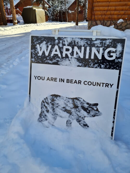 Bear Country