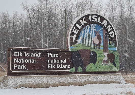 Elk Island