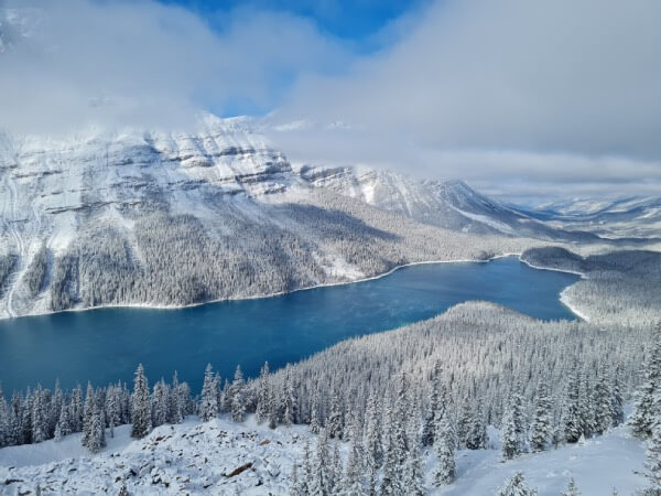 Lac Peyto