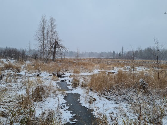 Lakeview Trail (Elk Island)