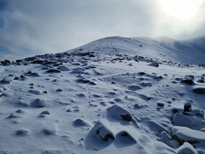 Mont Whistlers (Skytram)